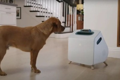 Njihuni me robotin që kujdeset për qentë, i ushqen dhe luan me ta vetëm për 49 dollarë në muaj…