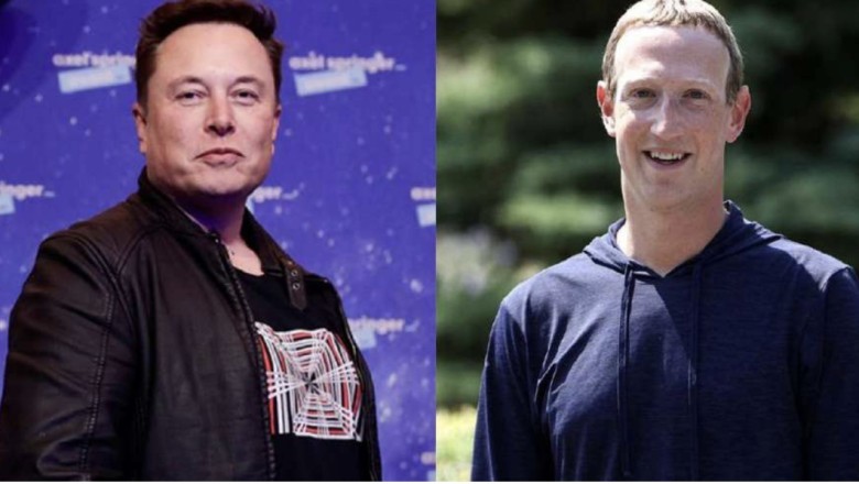 Elon Musk dhe Mark Zuckerberg do rrihen me grushta. Platforma e basteve: Fiton Zuckerberg