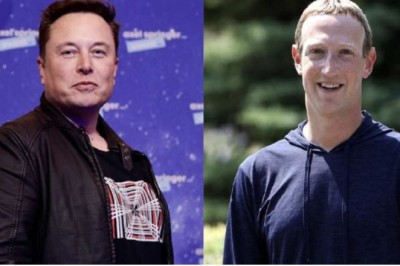 Elon Musk dhe Mark Zuckerberg do rrihen me grushta. Platforma e basteve: Fiton Zuckerberg