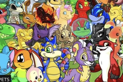 Website për kafshët Neopets planifikon të rikthehet fuqishëm. Premton epokë të re…