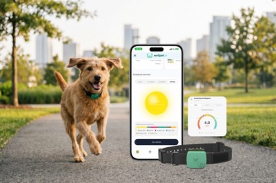 WellPet.ai Lançon 